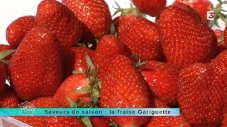 MALC 020514 Saveur de saison  la fraise Gariguette [upl. by Divadnahtanoj]