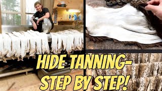 StepByStep COMPLETE TANNING TUTORIAL Taxidermy WET and DRY tans Anyone can do it [upl. by Amiaj100]