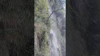 pokhara seti river dam waterfall travel ytshorts [upl. by Phare]