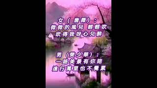 广场舞曲  《陪你千山萬水》（DJ Remix [upl. by Sabu584]