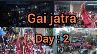 salyan Gai jatra 2081  Day2  🤩🤩🤩 [upl. by Dnomso]