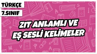 7 Sınıf Türkçe  Zıt Anlamlı ve Eş Sesli Kelimeler  2022 [upl. by Bores]