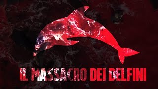 1500 delfini uccisi a coltellate alle Faroe è stato il peggior massacro della storia [upl. by Grefer958]