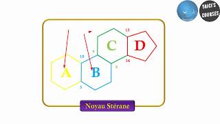 Généralités sur les stéroides Fevrier 2020 [upl. by Nassir]