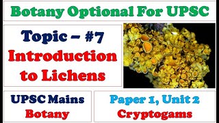 Lichens Thallus Structure Reproduction Types Habitat Rhizinae Symbiotic Association Mutualism [upl. by Noied]