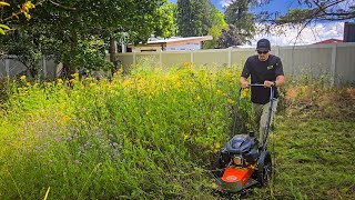 DR Pro XL Trimmer VS CRAZY Tall GRASS  Will It Handle It [upl. by Rosena876]