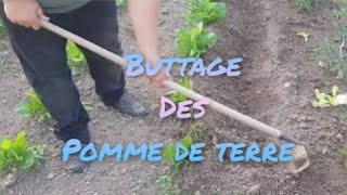 2 buttage pomme de terre du potager de jéjé [upl. by Roseann526]