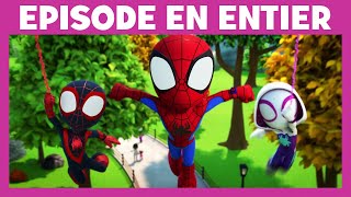 Spidey et ses amis extraordinaires  Episode  Léquipe Spidey [upl. by Domash891]