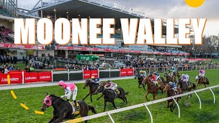 【MOONEE VALLEY】AUSTRALIA HORSE RACE ANALYSIS [upl. by Jerrilee60]