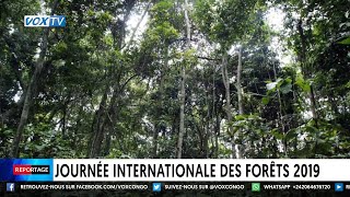 Journée internationale des forêts 2019 [upl. by Bernelle]