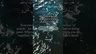 surah Baqarah verse 148 and 149 tilawat surahbaqarah surahbaqarahrecitation shorts [upl. by Ailemrac]