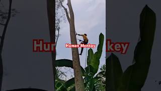 Human Monkey viralvideo shorts shortvideo vytshorts yt youtube youtube [upl. by Sesiom]