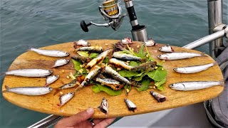 Catching Bait Anchovies to Eat Surprisingly Delicious [upl. by Allehcim]