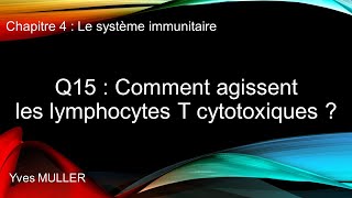 Chap 4  Le système immunitaire  Q15  Comment agissent les lymphocytes T cytotoxiques [upl. by Fenelia]