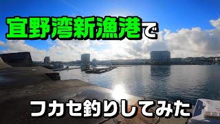 【宜野湾新漁港】いろいろ釣れる楽しい漁港。その名もギノシン。【イソジン】 [upl. by Pollie51]