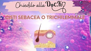 Chiedilo alla Docky Differenza tra cisti sebacea e trichilemmale [upl. by Ydeh]