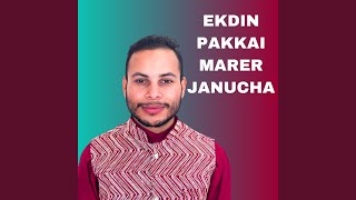 EKDIN PAKKAI MARER JANUCHA [upl. by Varney]