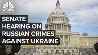 The Senate Judiciary Committee holds a hearing on crimes against Ukraine — 041923 [upl. by Dennis583]