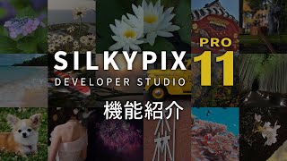 「SILKYPIX Developer Studio Pro1111」機能紹介ムービー [upl. by Tegirb646]