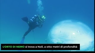 Lorto di Nemo  Coltivare basilico sottacqua [upl. by Tra]