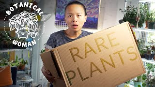 Massive 300 Indoor Plant Haul Unboxing and Review [upl. by Duj]