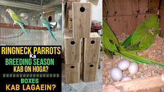 Ringneck Parrots Ka Breeding Season Kab On Hota Haior kab tak rehta haiBoxes Kab Lagaeinby RDA [upl. by Kcinnay]