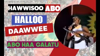 Halloo Daawwee Music  Hawwisoo ABO  ABOn Haa Latu  New Oromo Music HD  Sirba Qabsoo [upl. by Genna]