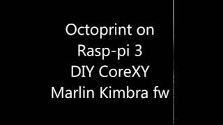 Octoprint on Raspberry pi 3  Core XY 3d printer [upl. by Notsud431]