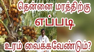 How to place proper fertilizers for coconut tree  Agriculture Videos Tamil Culture [upl. by Tuck]