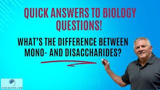 Whats the difference between monosaccharides and disaccharidesquot [upl. by Acired]