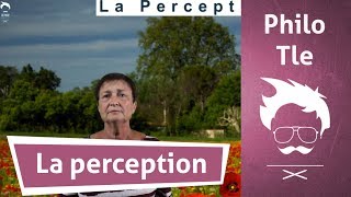 Philosophie  Terminale  La perception 12 [upl. by Ainattirb]