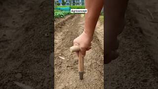 Planting tool plants tools agrifact shortsfeed [upl. by Mickey665]