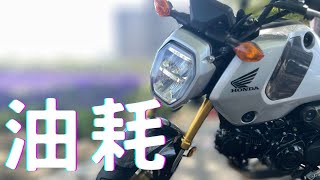 MSX三代油耗太狂！｜新竹台南來回實測省油一哥｜HONDA MSX GROM 125 [upl. by Ahsiakal693]