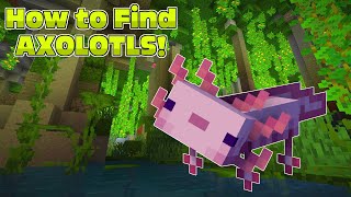 How to Find Axolotls MINECRAFT [upl. by Anahir]