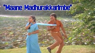 Maane Madhurakkarimbe  Pinnilavu Malayalam Movie Song  Mammootty  Poornima Jayaram [upl. by Sommer466]