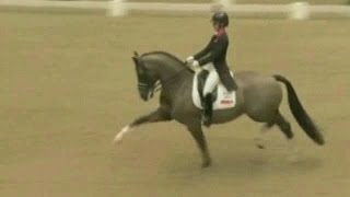 Dressage  Rockabye Valegro [upl. by Peursem]