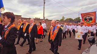 High Blantyre Chosen Few LOL 1984  Defenders of the Union Flute Band Blantyre 13thSep 2024 [upl. by Ynes]