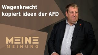 Wagenknecht kopiert ideen der AFD [upl. by Vharat]