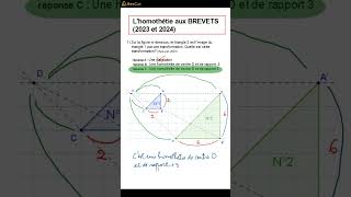 DNB 2024 Lhomothétie au BREVET [upl. by Rattray]