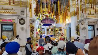 Sultanpur Lodhi Gurudwara Ber Sahib Live Today [upl. by Ajiat720]