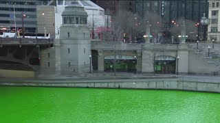 St Patricks Day celebrations continue in Chicago [upl. by Eerrehs425]