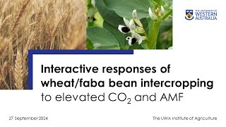 Responses of wheatfaba bean intercropping to elevated CO2 amp AMF Lecture by Professor Xinhua He [upl. by Chun669]