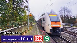 Bahnverkehr in MGladbachLürrip🇩🇪 Bahnhofs Spotting  01112024 [upl. by Ashil348]