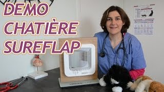 Démonstration de la chatière électronique SureFlap [upl. by Emery]