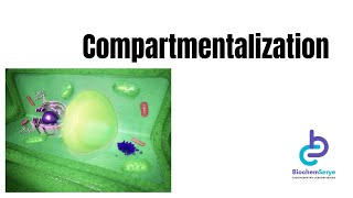 Part 6  Compartmentalization  BiochemSerye [upl. by Nylknarf]