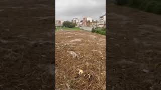 Flash Flood en Paiporta flashflood dana gotafria [upl. by Zeph267]