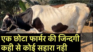 एक छोटा फार्मर की जिन्दगी कही से कोई सहारा नही biharsmalldairyfarmdairyfarmbiharejjukibusinesside [upl. by Negriv]