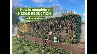 How to complete a HEDGE REDUCTION like a PRO 4 easy steps [upl. by Stanislas635]