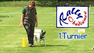 1 Turnier  Rally Obedience  HSV Exten eV 30072017 [upl. by Lumpkin762]