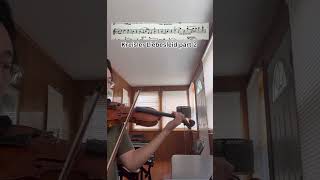 Kreisler Liebesleid violin violinmusic music violinist classicalmusic violinlife musicgenre [upl. by Itch817]